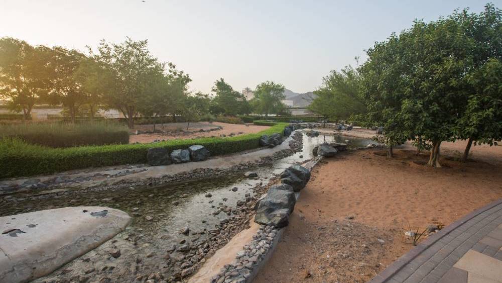 حديقة وادي حتا