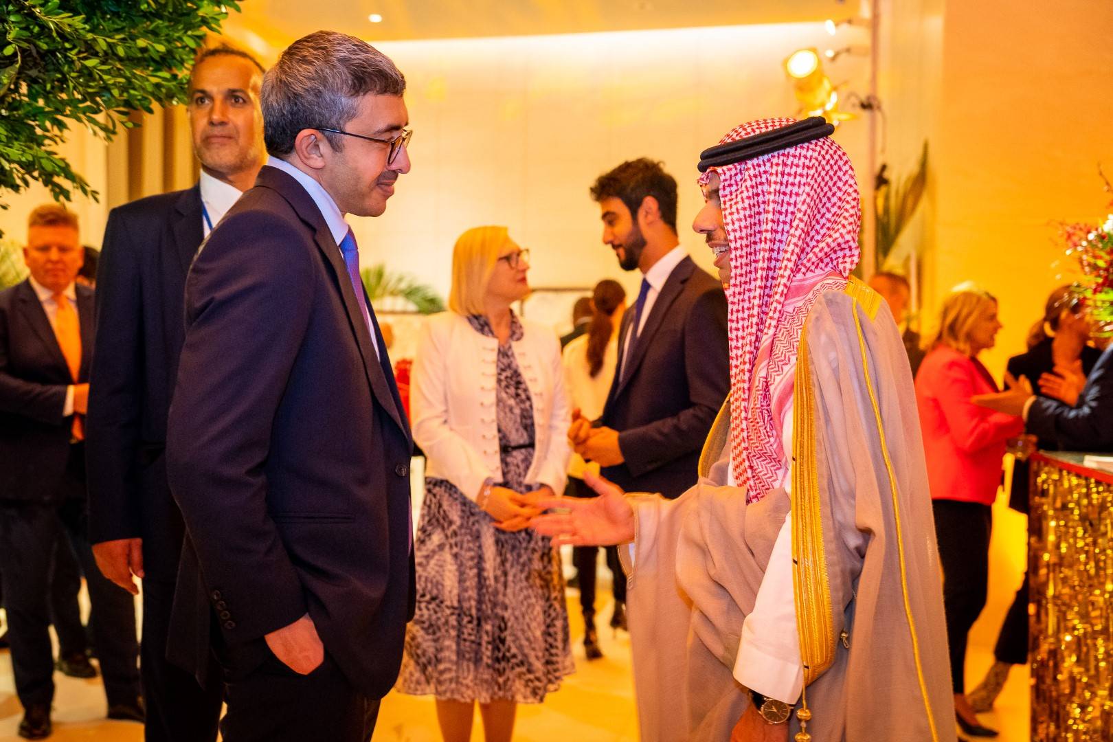 عبدالله بن زايد عبدالله بن زايد