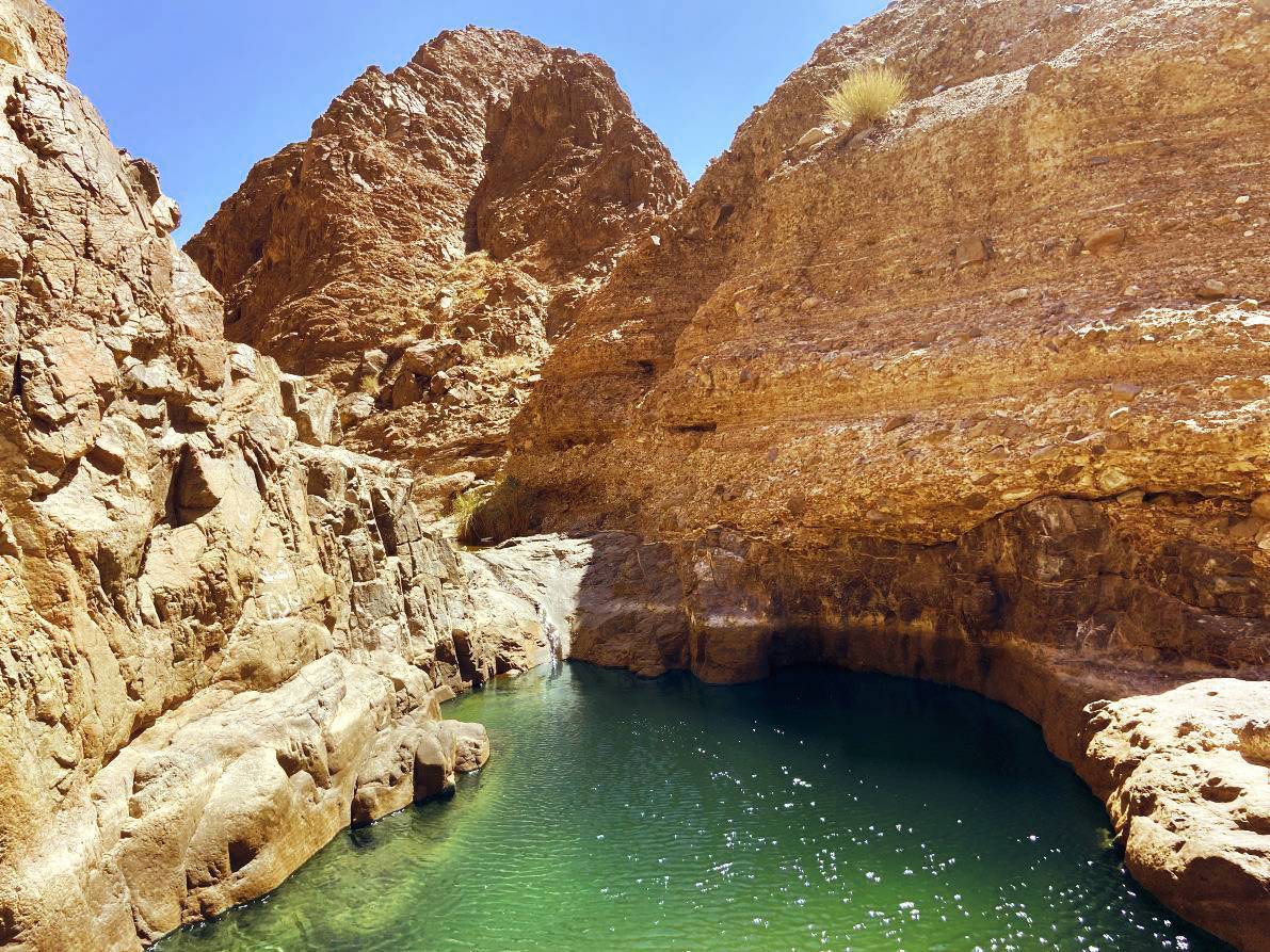 وادي شوكة