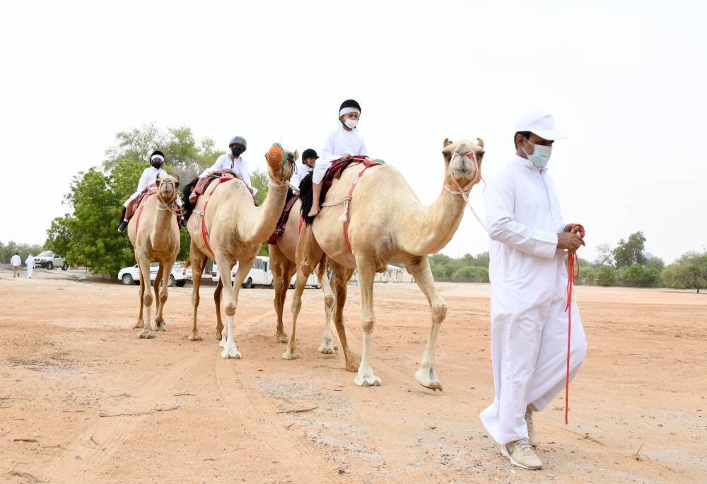 من الفعاليات