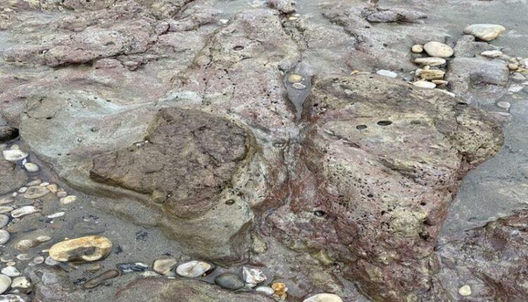 علماء يعثرون على آثار أقدام ديناصورات في إنجلترا