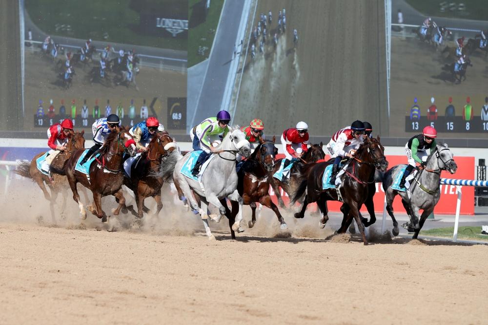 مونديال الخيول العربية يبتسم لأمريكا