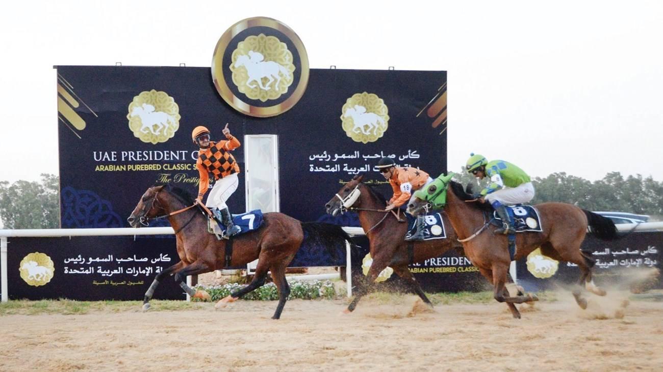 من منافسات كأس رئيس الدولة للخيول