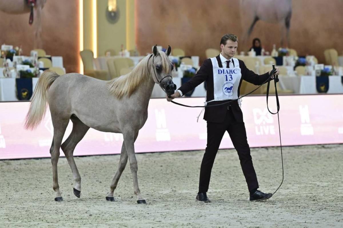 جانب من المنافسات