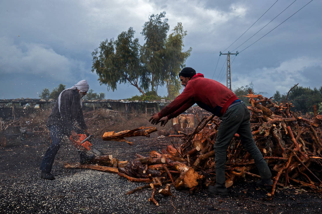 يعمل ثمانية فلسطينيين على مدار العام في منشأة «الحطاب»، أكبر مصنع لإنتاج الفحم في قطاع غز
