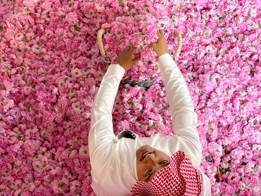 مدينة الورود