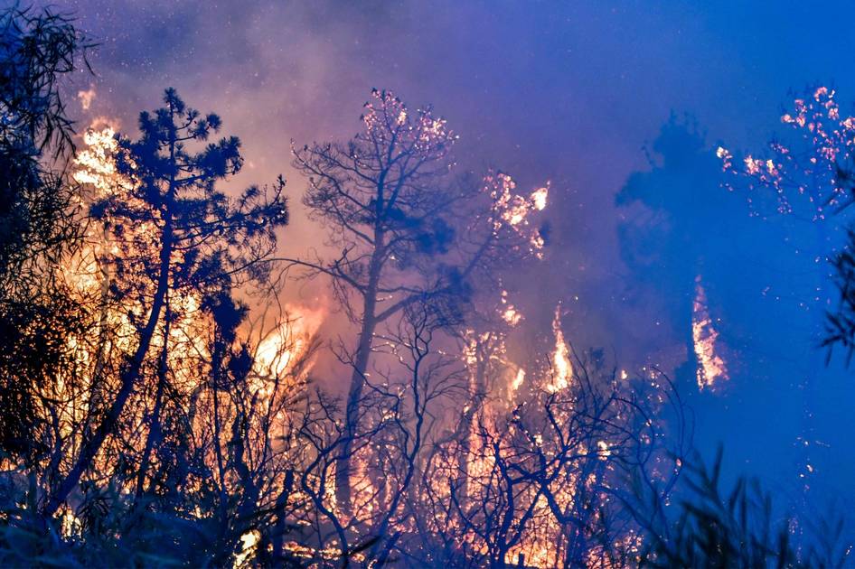 علماء: النشاط البشري السبب وراء الحر الشديد | صحيفة الخليج