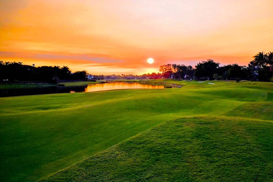 “Green Wood” .. is Nakheel’s latest billion dollar project in Dubai