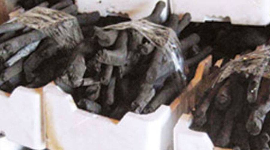 Prevention and Symptoms of Carbon Monoxide Poisoning from Barbecuing and Charcoal Use in Closed