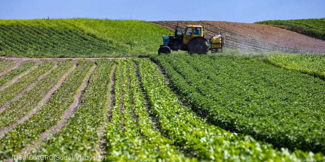 Un syndicat français met en garde contre l’adhésion de l’Ukraine à l’UE : « Une catastrophe pour l’agriculture »