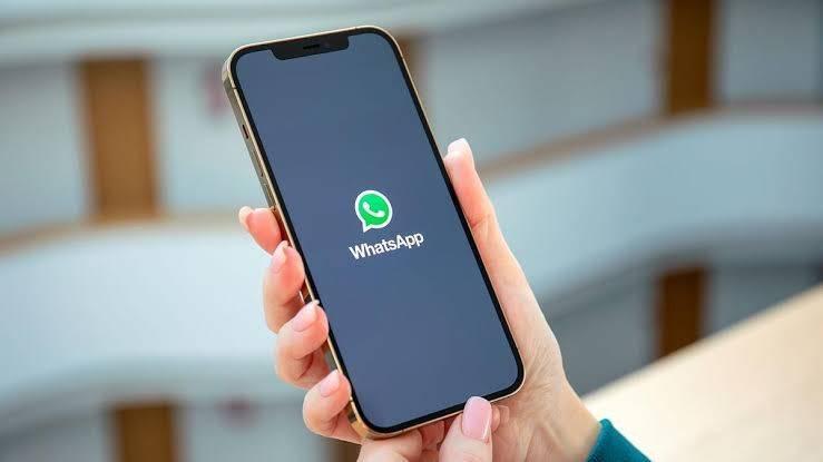 A new feature from WhatsApp for iPhone  Al Khaleej newspaper