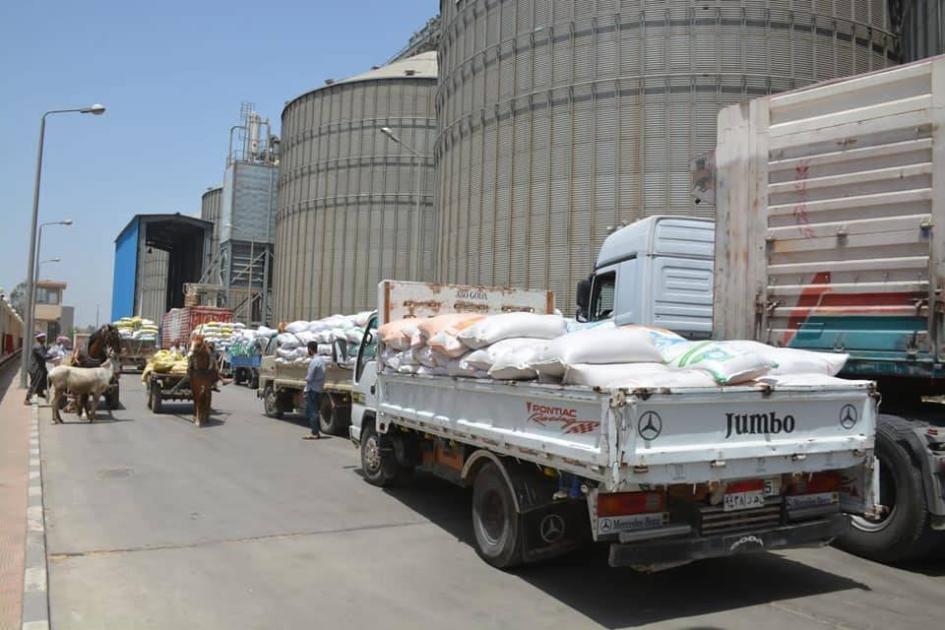 Supply of Egyptian wheat available from April to August