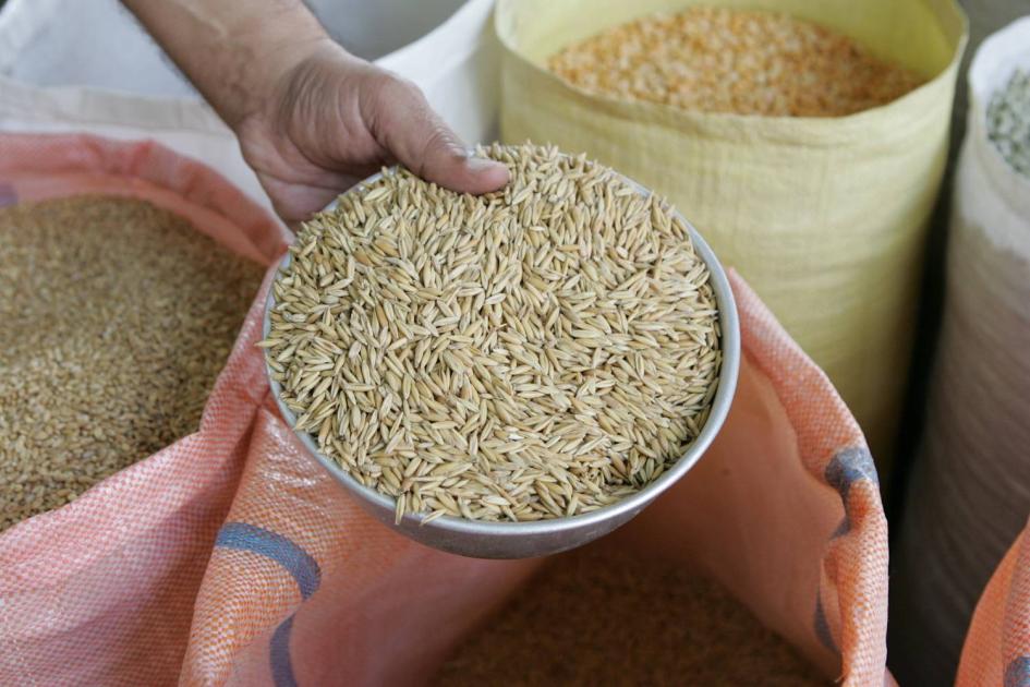 Jordan purchases 110,000 tons of barley feed through a tender process