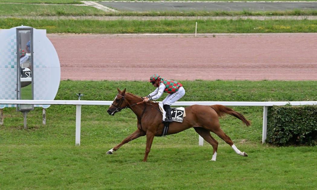 7 horses compete for the Mansour Bin Zayed Racing Festival Cup in France