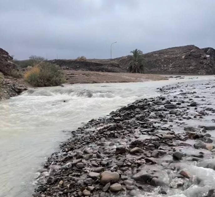 عاجل| الإمارات: توقع استمرار الحالة الجوية حتى الأحد 