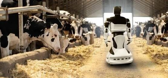 حصاد الذكاء الاصطناعي 2025: عام الروبوتات التي شغلت وظائف بالمستودعات وحسّنت جودة الألبان #صحيفة_الخليج 