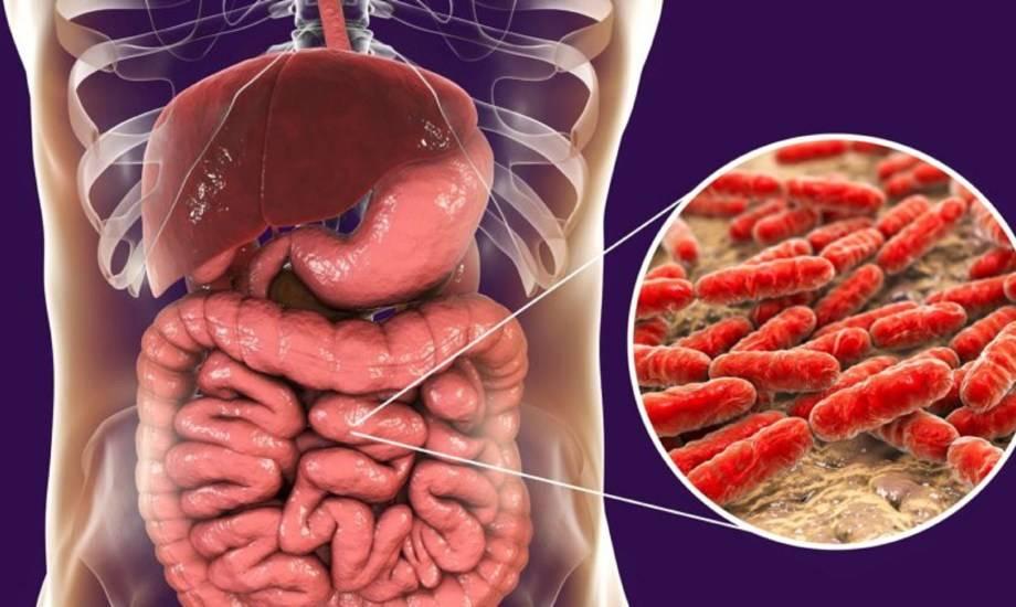 بكتيريا الأمعاء تشخّص اكتئاب المراهقين #صحيفة_الخليج 