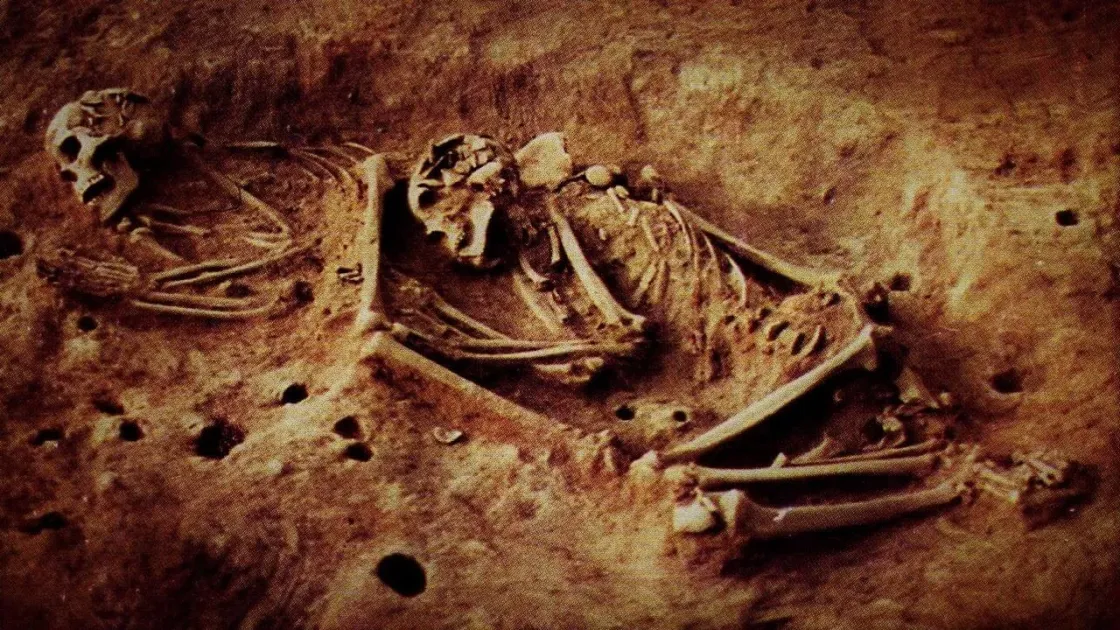 هيكل عظمي يكشف أقدم جينوم للزهري #صحيفة_الخليج 