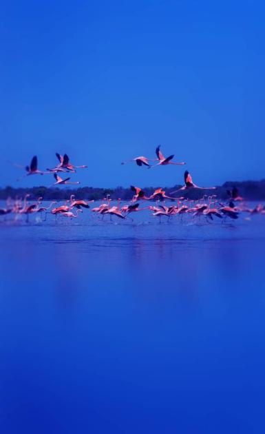 سياحة وسفر – الوجهات تعزف سيمفونية المعالم السياحية في عجمان