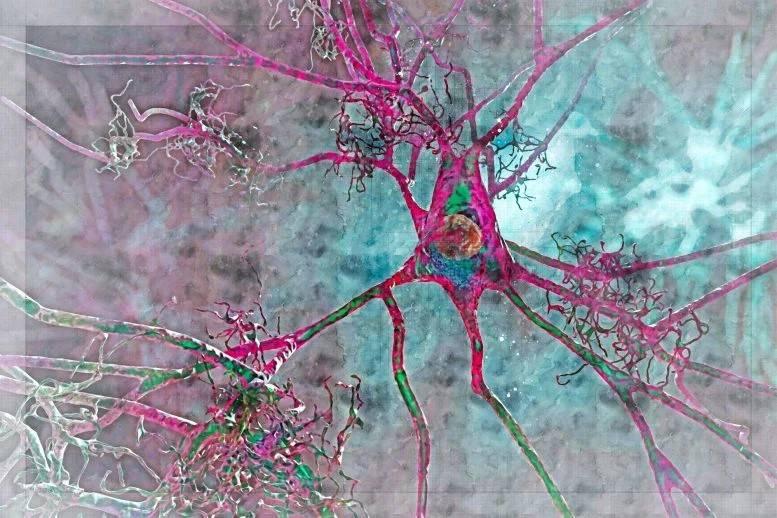 تدفق الدم في الدماغ يكشف الزهايمر المبكر #صحيفة_الخليج 