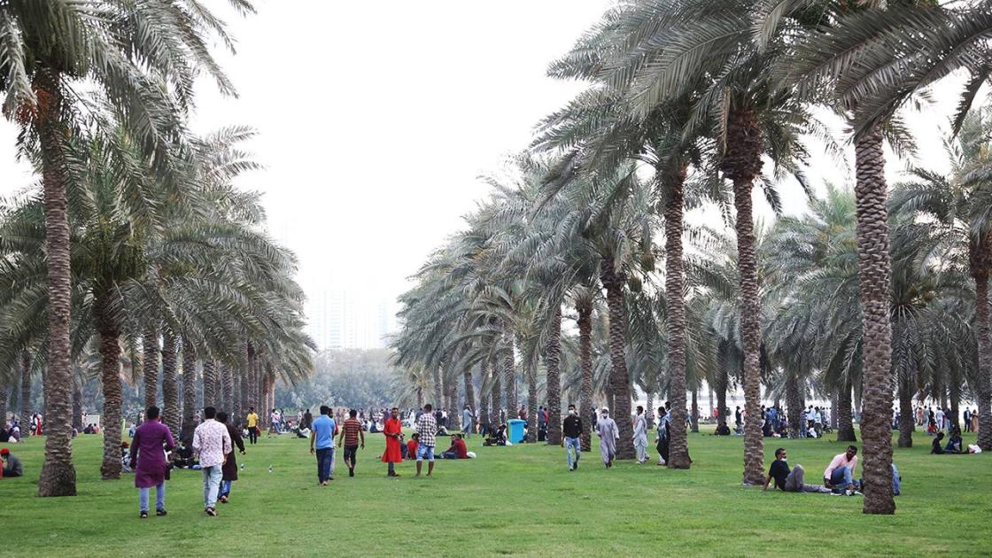 الإمارات.. واحة الأمان للمقيمين في مواجهة التحديات العالمية