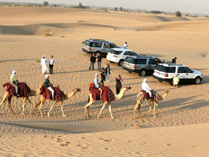 أهم الأنشطة العائلية في دليلك لتجربة الصحراء في واحة ليوا