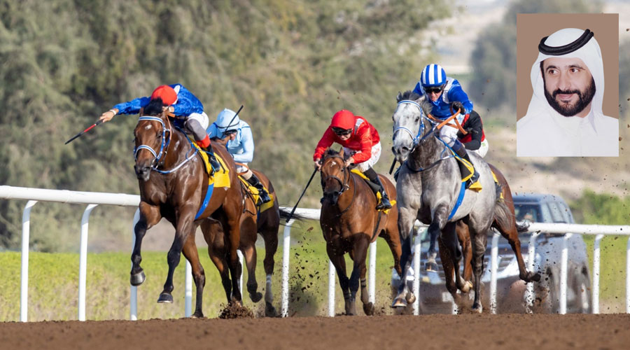 524 ألف درهم تشعل انطلاق موسم خيول جبل علي