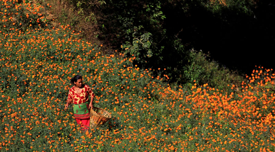 سكان المدن أكثر عرضة للالتهاب الرئوي