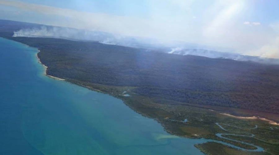 حريق في غابات «فريزر»