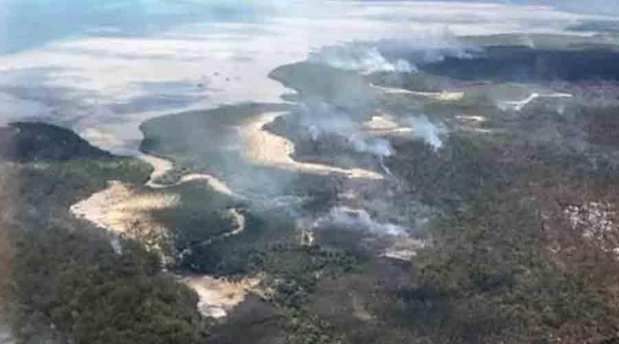 حريق غابات ضخم في جزيرة «فريزر»