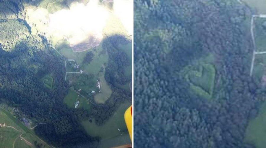 قلب الغابة.. هدية رومانسية لزوجته