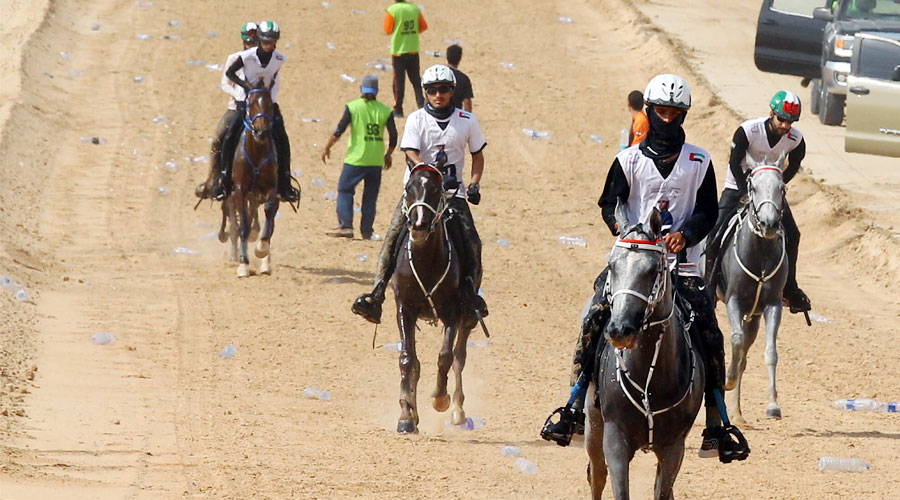 ثنائية لإسطبلات الحزم في كأس محمد بن منصور للقدرة