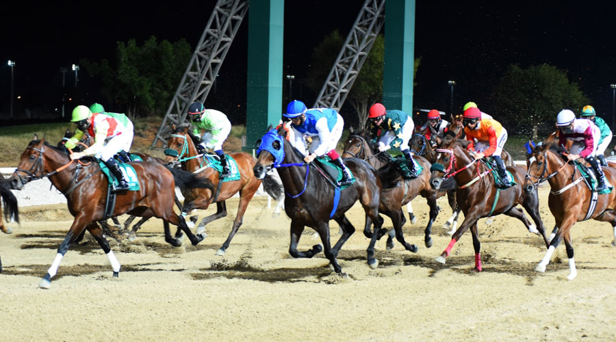تحدٍ مثير بين «بلد الريف» و«عجاج» في الجولة الثانية لماراثون العين