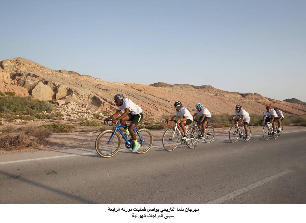 مهرجان دلما التاريخي/ فعاليات / تواصل. 