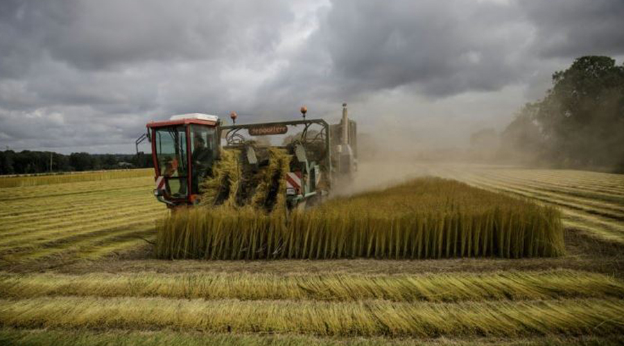 الكتّان المُراعي للمعايير البيئية يغزو عالم الأزياء