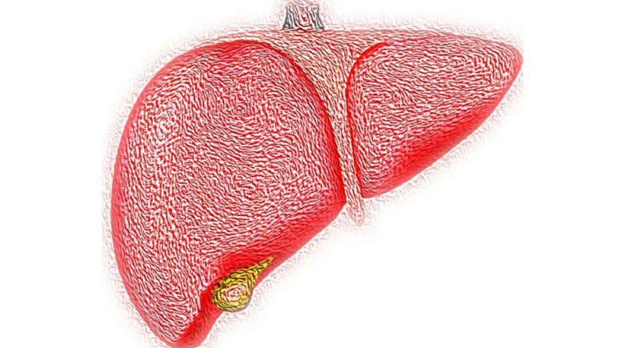 إنزيم الكوليسترول علاج ضد التهاب الكبد B 