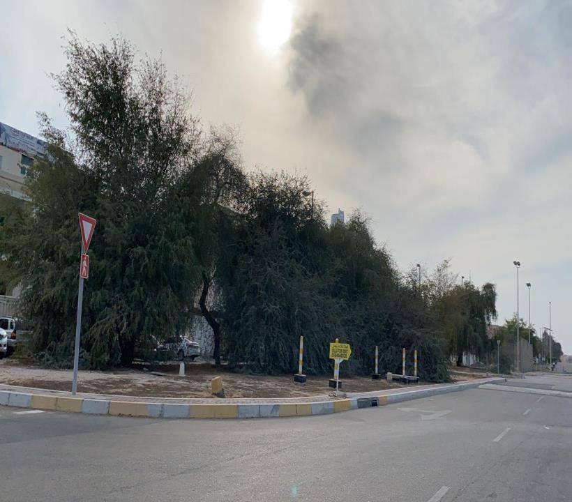 حملة للحفاظ على المظهر العام من النفايات والزراعات العشوائية