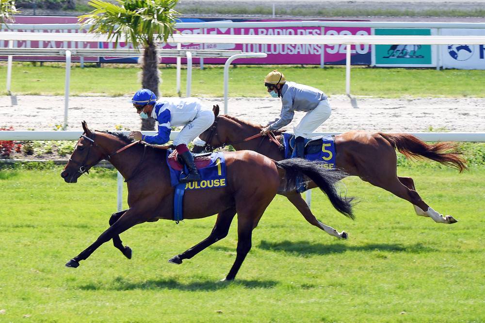 بالعزم أقوي المرشحين لكأس زايد