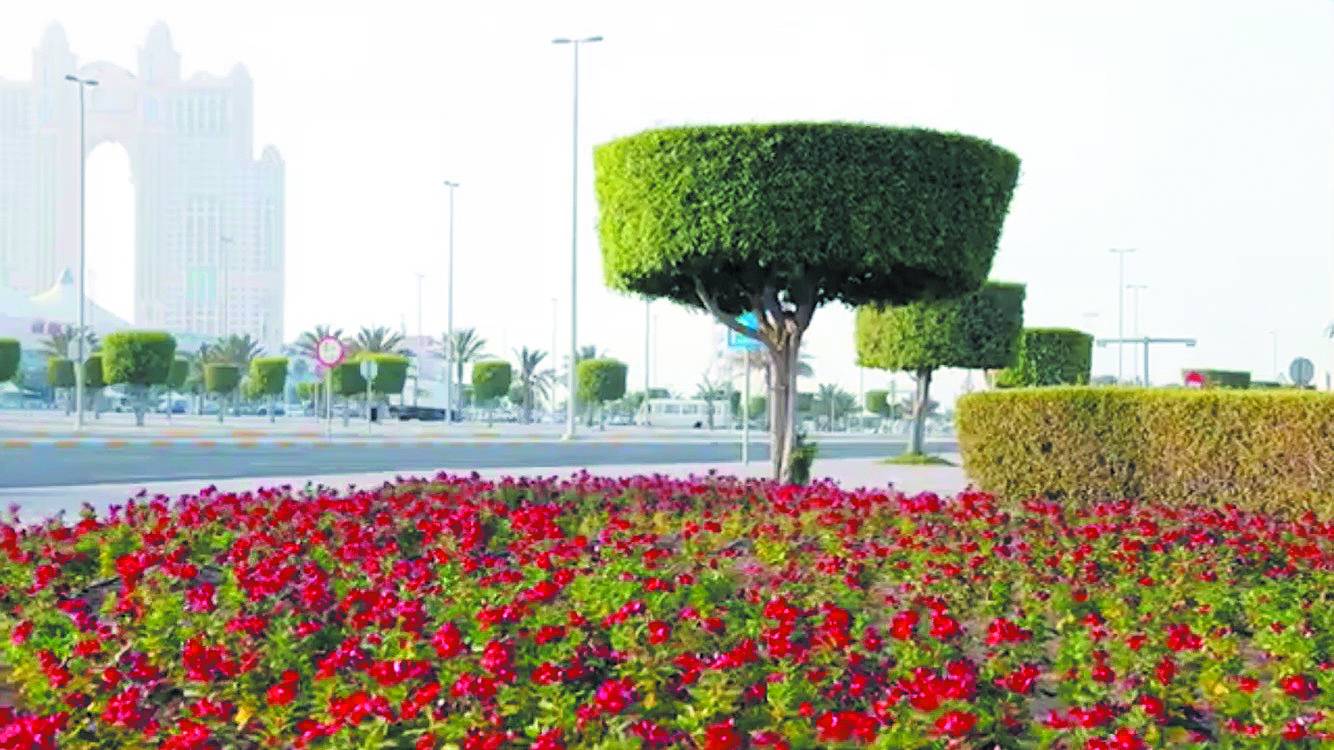 الزهور تنشر الجمال في المدينة