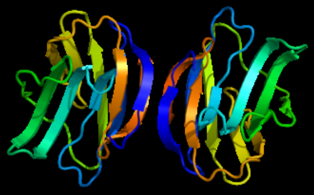 تصور لطريقة عمل البروتين المكتشف مع الخلايا