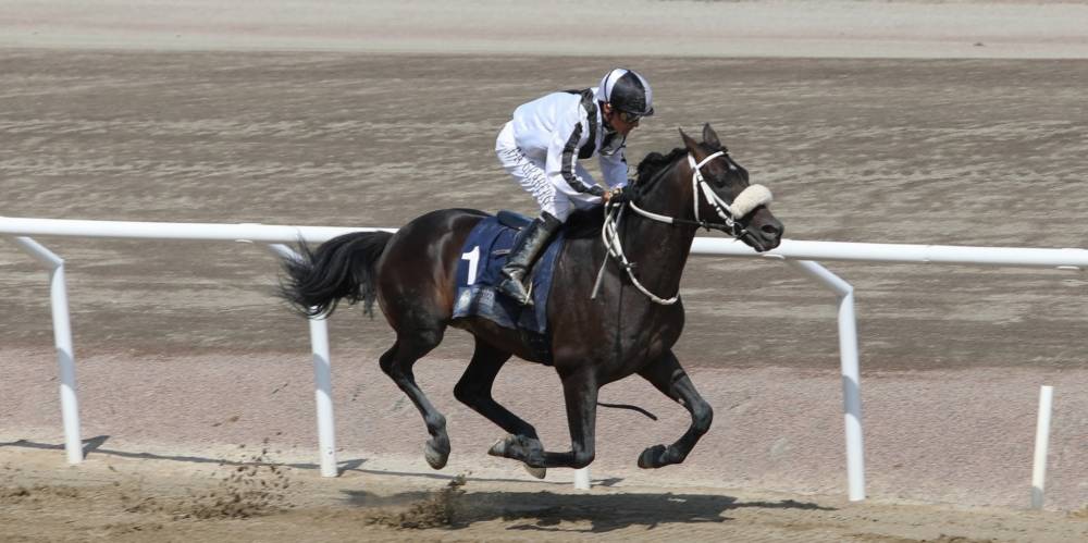 «رسمي الخالدية» مرشح بقوة للفوز