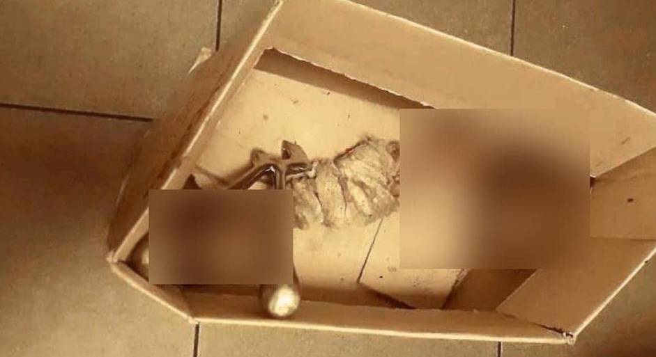 لبنان: بقايا عظام بشرية في النفايات.. والنائب العام يكشف التفاصيل 