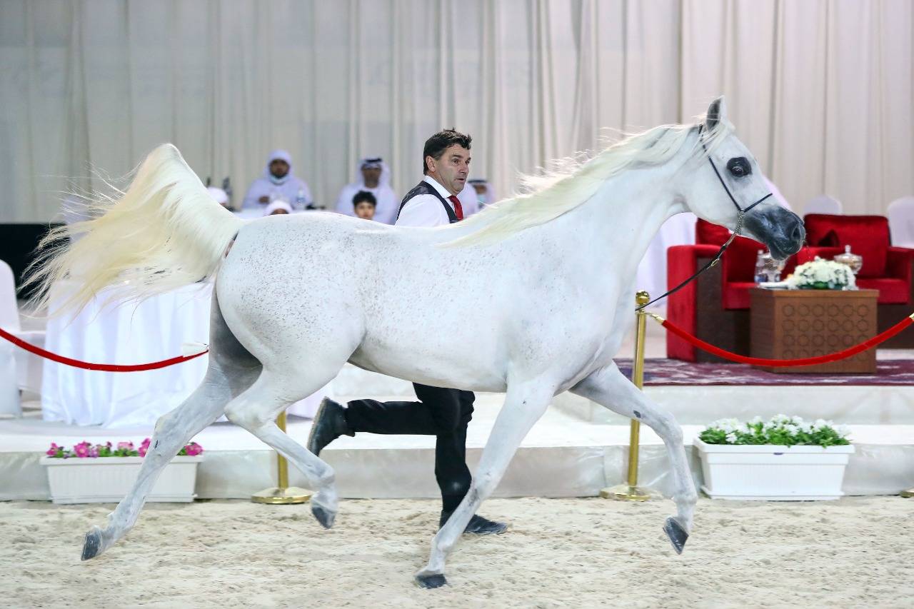 من منافسات البطولة