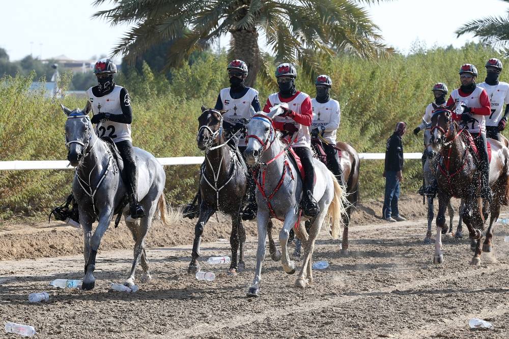 من منافسات سابقة لكأس محمد بن راشد للقدرة 