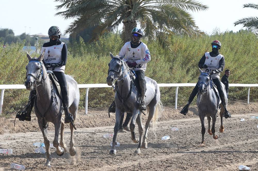 مدينة دبي الدولية للقدرة جاهزة لسباق كأس المرموم
