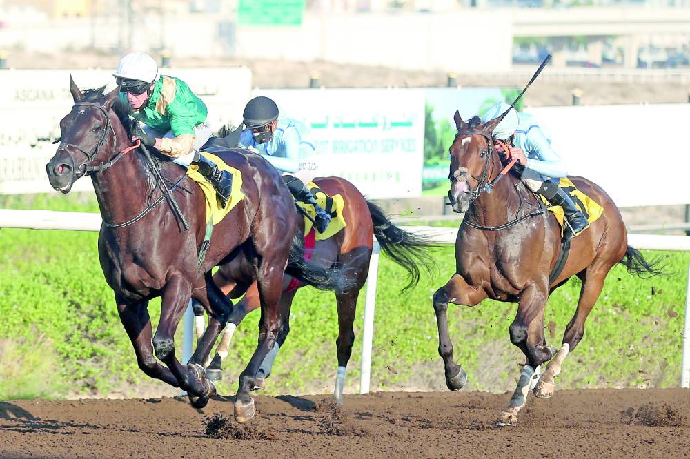 464 ألف درهم جوائز سباق الجميرا في جبل علي