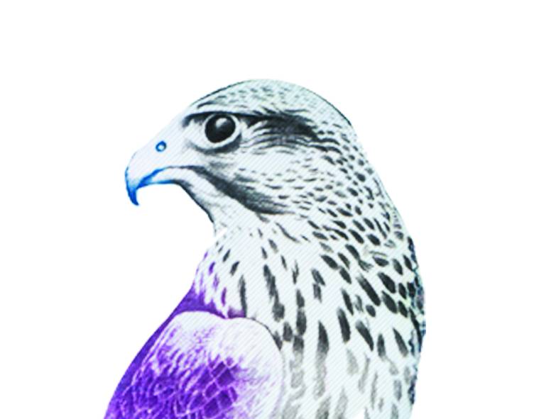 اقتصاد الإمارات يتعافى.. وينطلق نحو آفاق أرحب في 2022