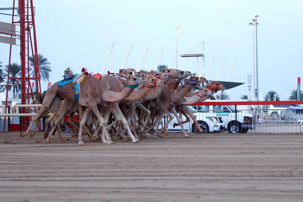 من سباقات أمس