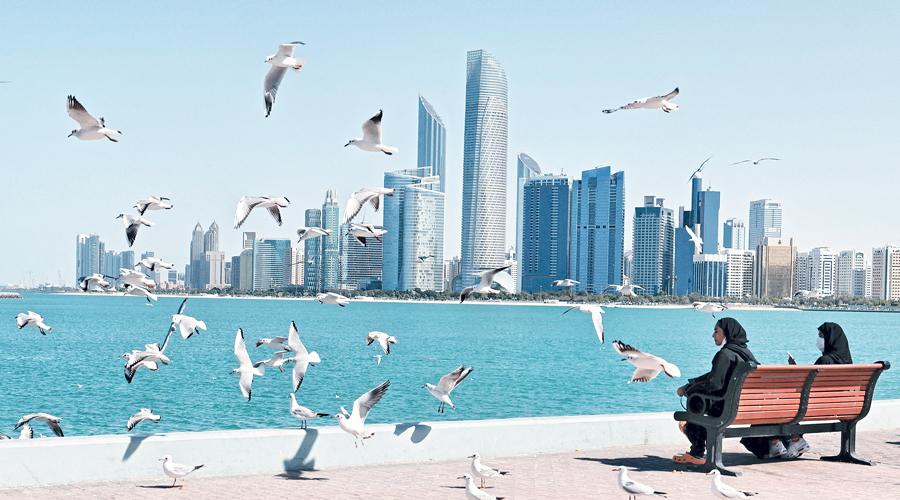 العالم يدين الاستهداف الإرهابي الحوثي للإمارات