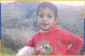 ( بالفيديو ).. ما هي قصة الكلب الوفي صديق الطفل المغربي ريان؟